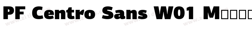 PF Centro Sans W01 M字体转换